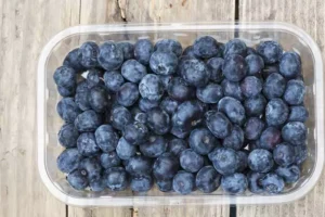Blueberries