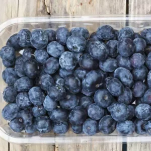 Blueberries