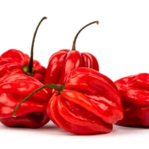 Habanero Red(kg)