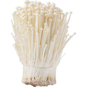 Mushroom ENOKI(1pck)
