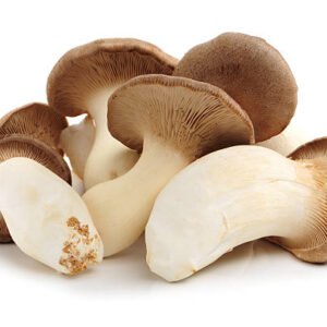 Mushroom ERYNGII(1kg)