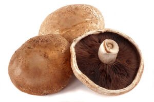 Mushroom Portobello / Brown(1pack)