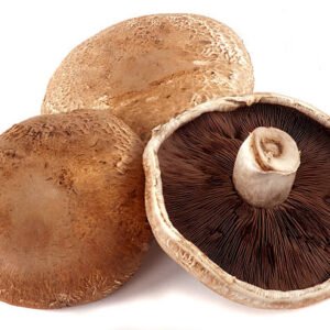 Mushroom Portobello / Brown(1pack)