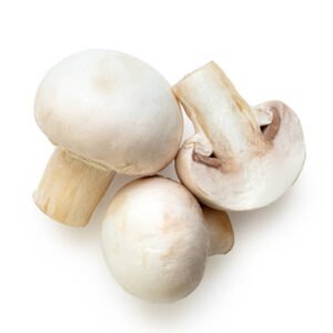 Mushroom White(1pack)
