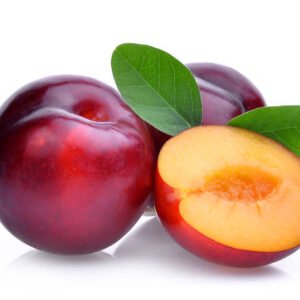 Red Plum(1kg)