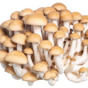 Shimeji Mushrooms(1pack)