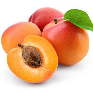 Apricot