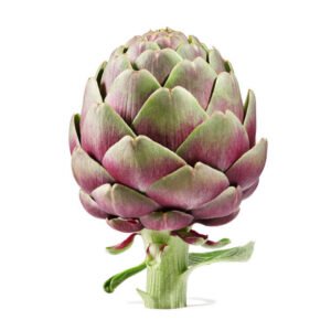 artichoke(1kg)
