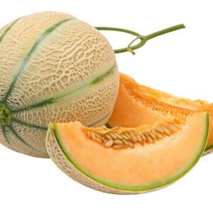 Cantaloupe Melon