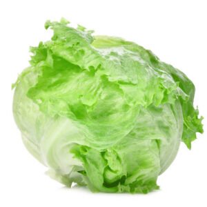 Iceberg Lettuce