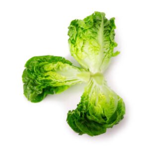 lettuce Baby(1pack)