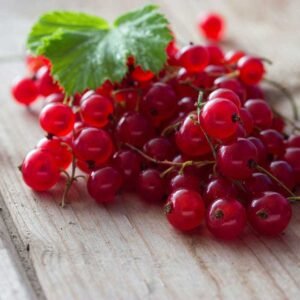 Red Currant(pack)