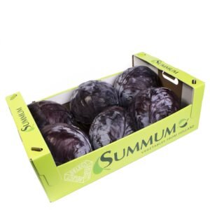 Summum MIX(1pack)