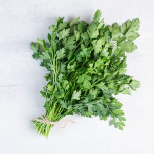 Coriander