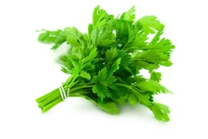 Parsley(bunch)