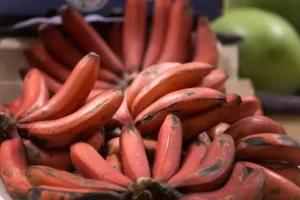 Red Banana(bunch)