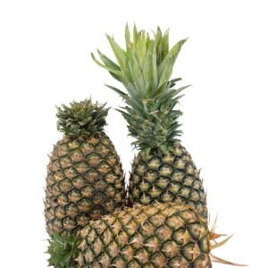 Cotonue Pineapple