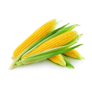 Sweet Corn(kg)